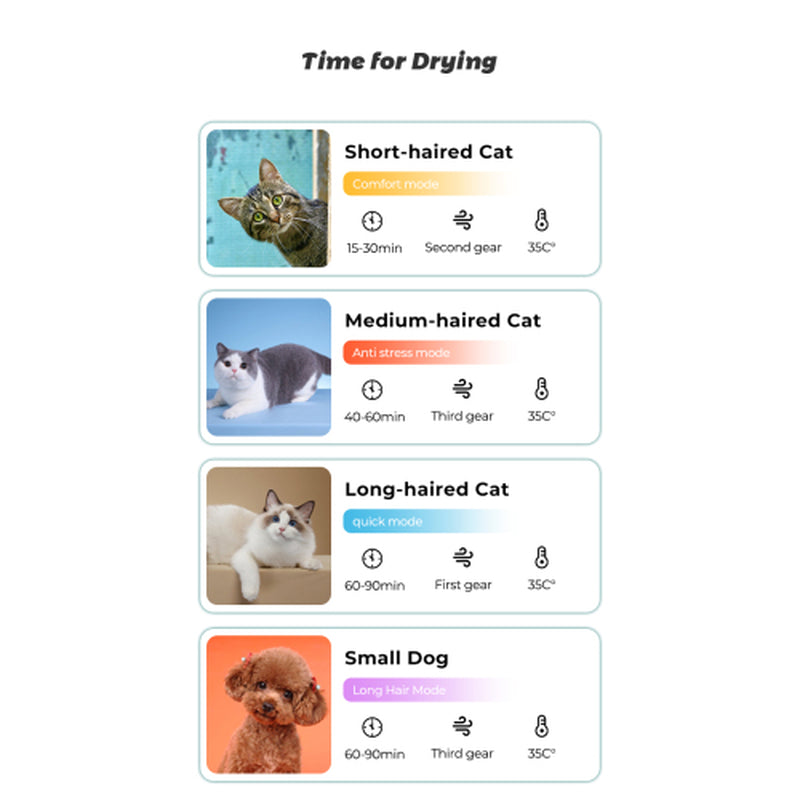 Pet Dryer Room – Gentle, Efficient & Stress-Free Drying for Your Furry Friend